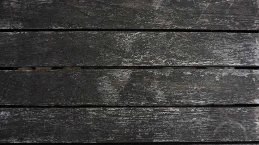 Worn timber floor ready for flooring repairs